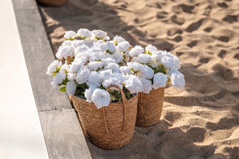 Two potted white flowers in woven baskets placed on sand at the beach
